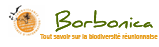 Le portail Borbonica logo