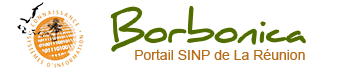 Le portail Borbonica logo